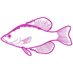 Fishes Embroidery Design 2
